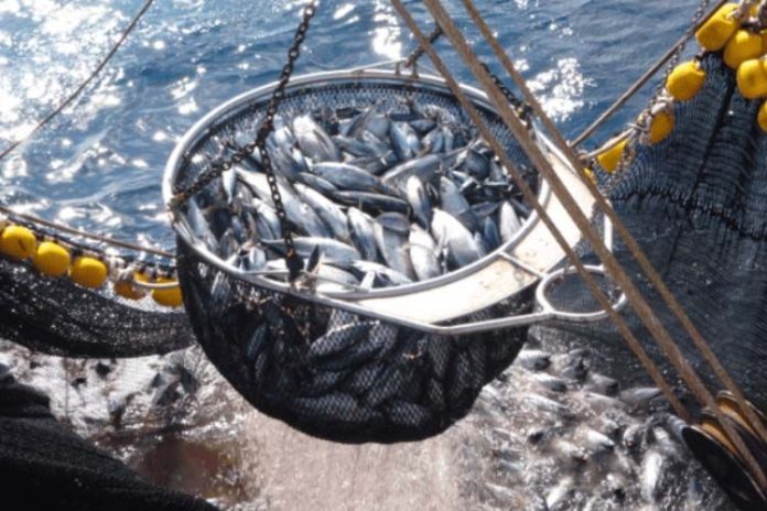 Declaración de las Azores sobre las pesquerías de túnidos