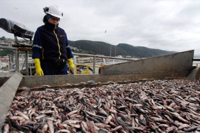 La industria pesquera y su búsqueda de personal calificado para la pesca
